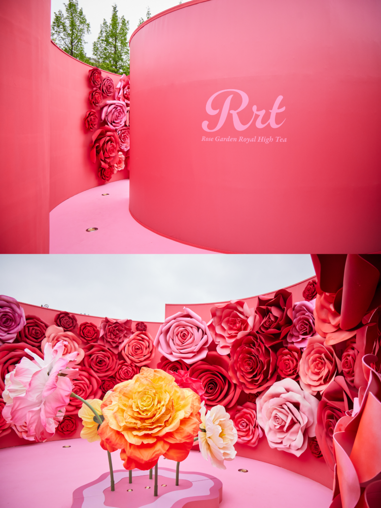 에버랜드 로로티 장미축제