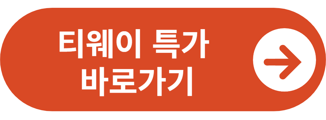 티웨이 특가 예매 바로가기