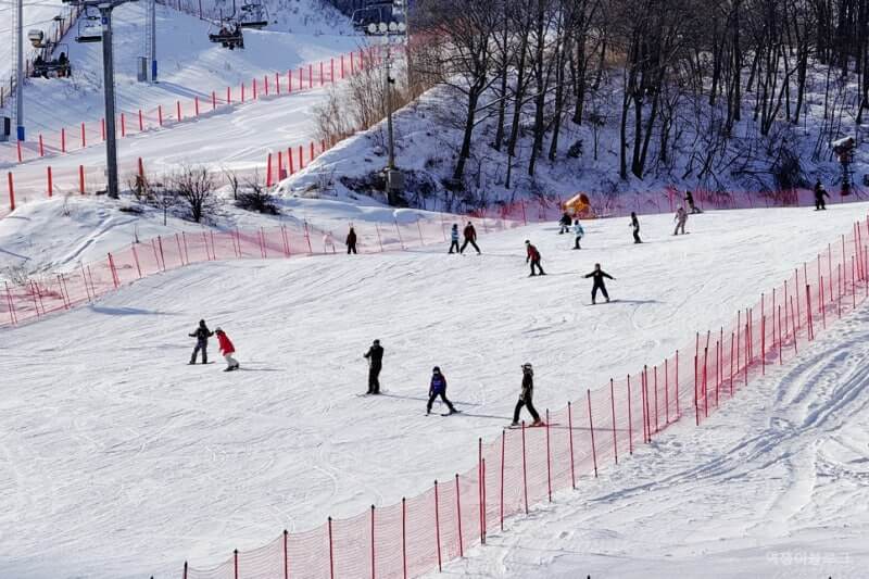 25/26 휘닉스 평창 시즌권 &amp;#124; 시즌 패스 오픈 이벤트