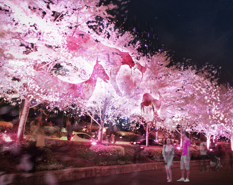 벚꽃 개화시기 2023