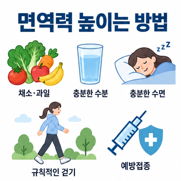 채소 과일 수면 운동 예방접종 아이콘을 배경으로 면역력 높이는 방법이라는 글자가 중앙에 놓인 교육용 건강 인포그래픽