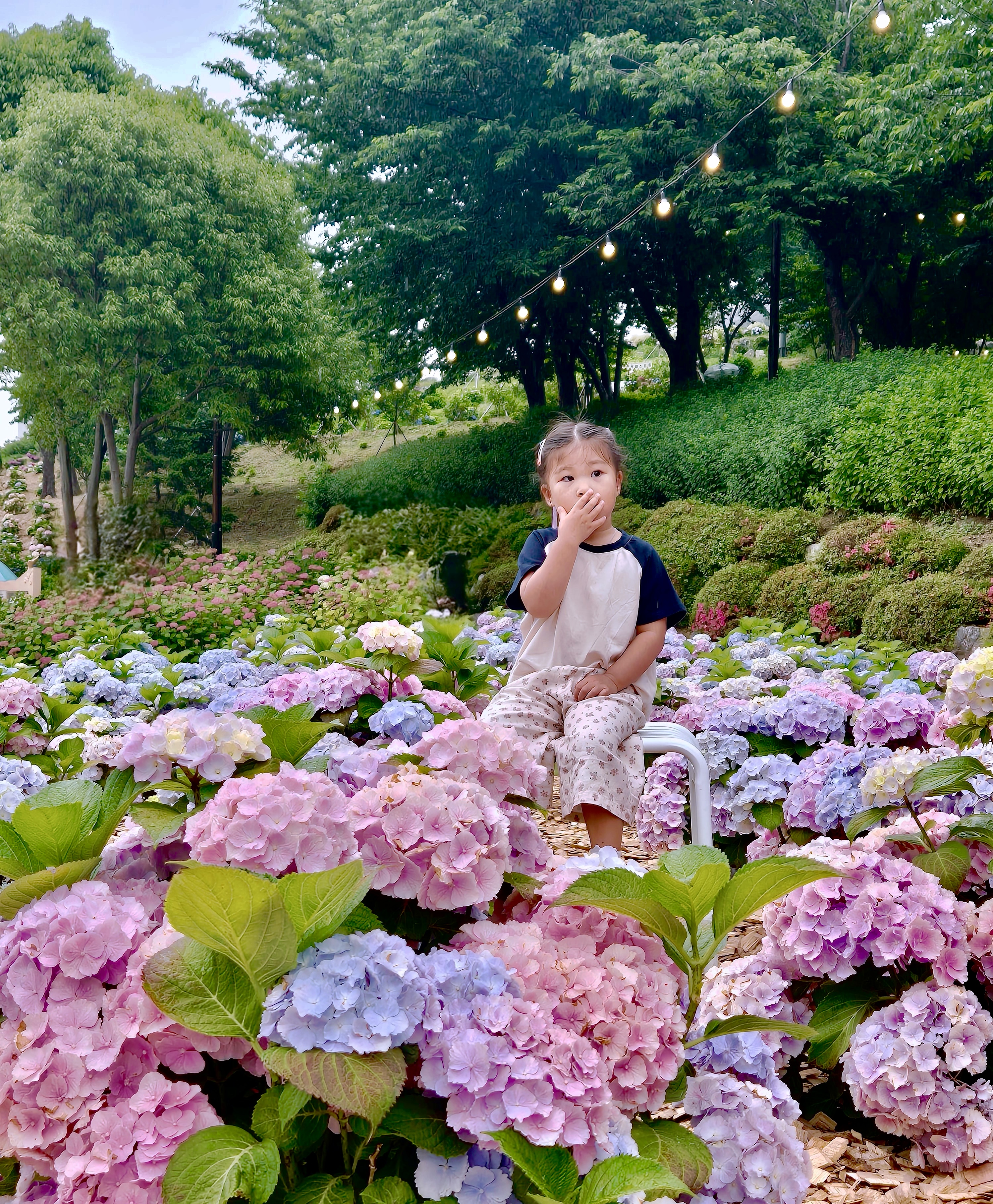 #장생포수국축제
#울산수국축제
#고래문화마을
#울산장생포가볼만한곳
#장생포포토존
#고래광장수국길
#오색수국정원
#수국축제개화상황2025
#수국사랑상품권사용처
#울산6월축제
#장생포여행코스
#울산플리마켓체험
#울산데이트코스
#울산여행추천
#장생포주차정보
#수국포토존