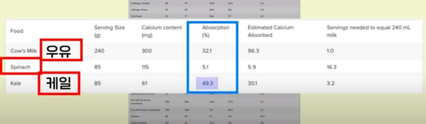 칼슘-생체흡수율