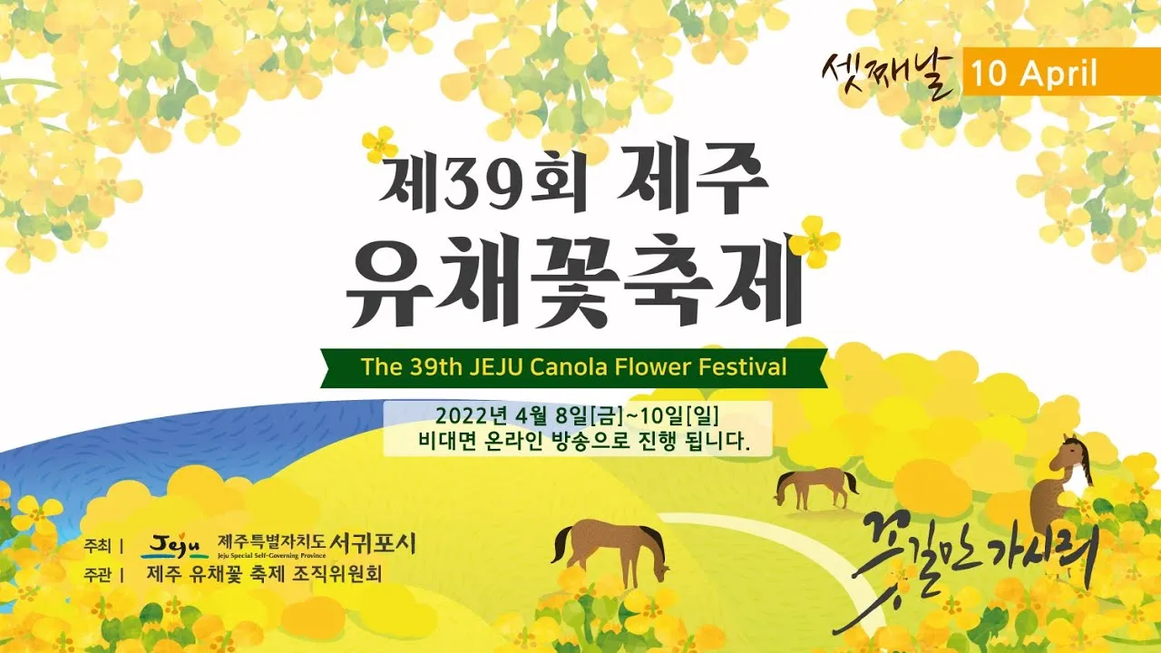 제주 유채꽃 개화 시기 봄 여행 필수 코스_4