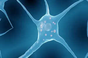 파킨슨병-초기증상