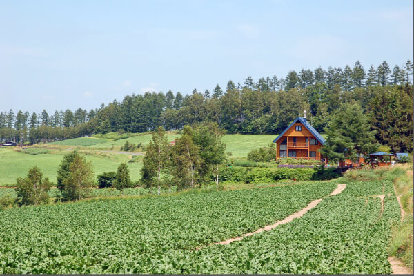 재산세-과세기준일-매도-증여