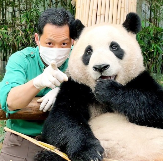 푸바오와 셀카찍는 할부지