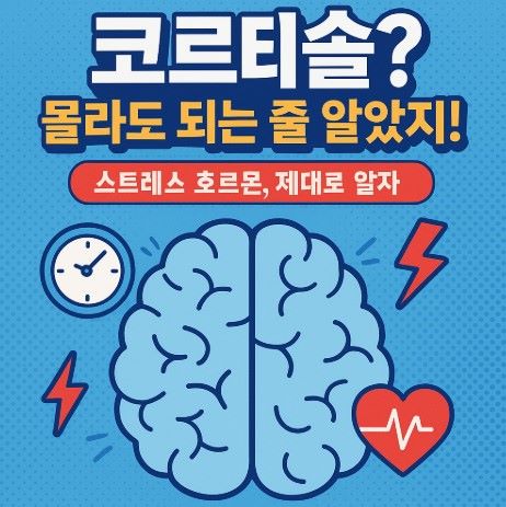 코르티솔