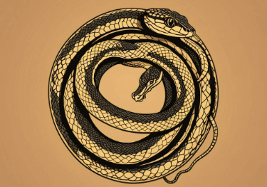 뱀꿈해몽, 행운일까 불운일까?