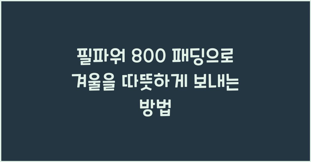 필파워 800 패딩