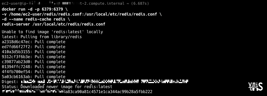 레디스 컨테이너 생성 완료 모습이다.