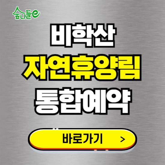 비학산 자연휴양림 온라인 예약하기 ❘ 숙소 야영장 캠핑장 실시간 예약 현황 보기 ❘ 경북 포항시