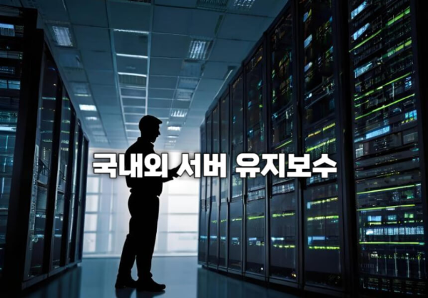 국내외 서버 유지보수