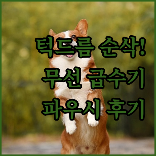 강아지 턱드름 없애는 방법 무필터 무..