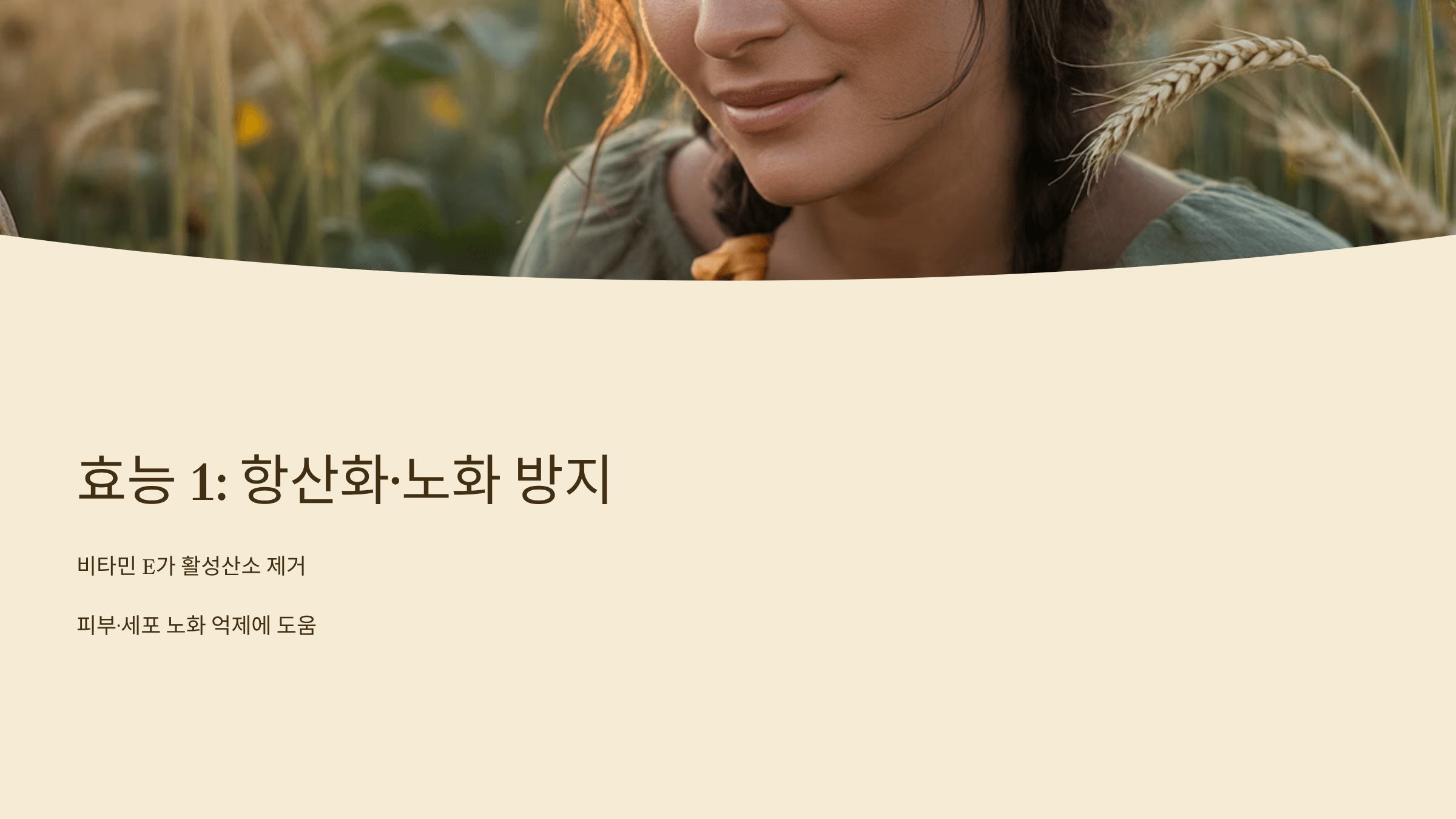 해바라기씨 사진입니다.