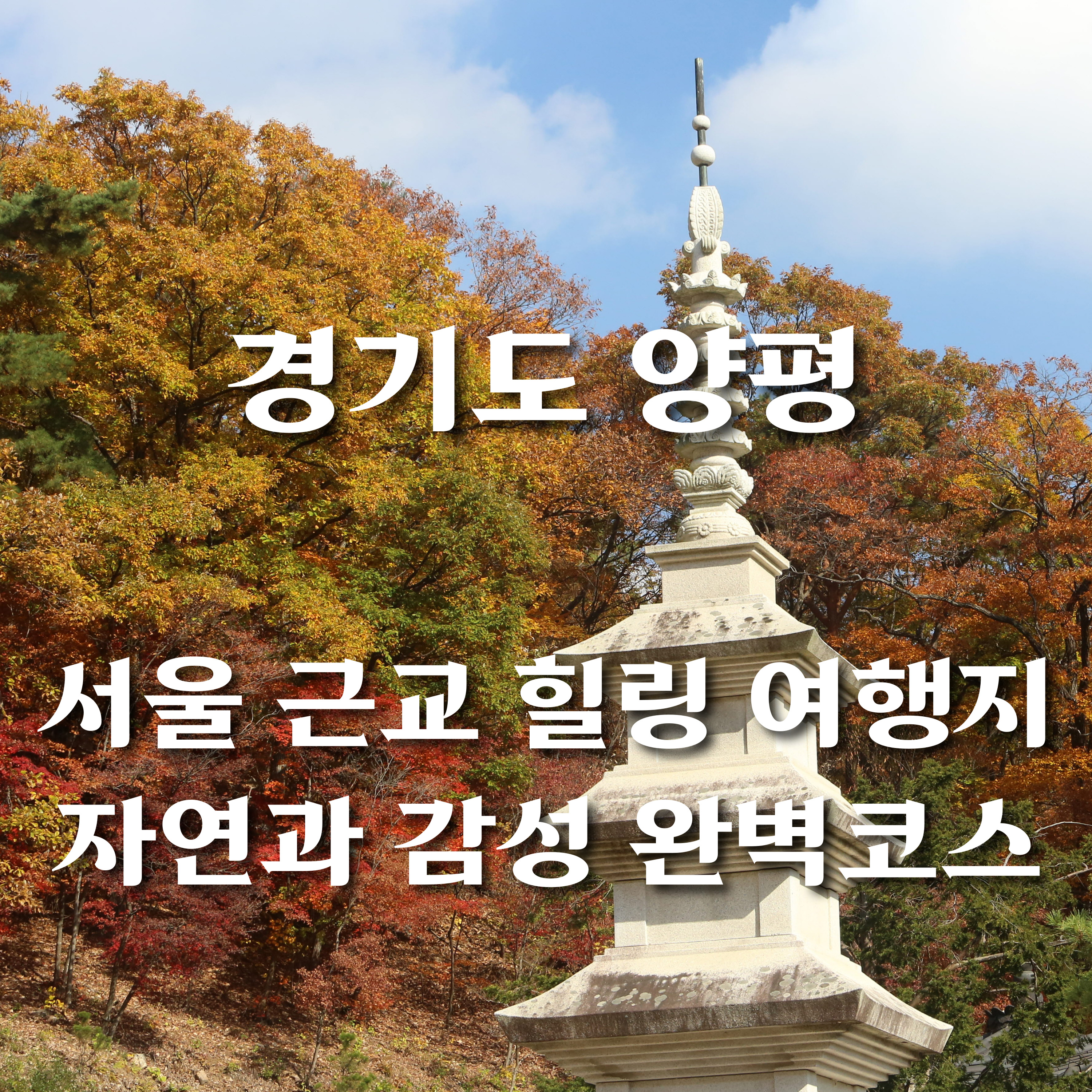 용문사