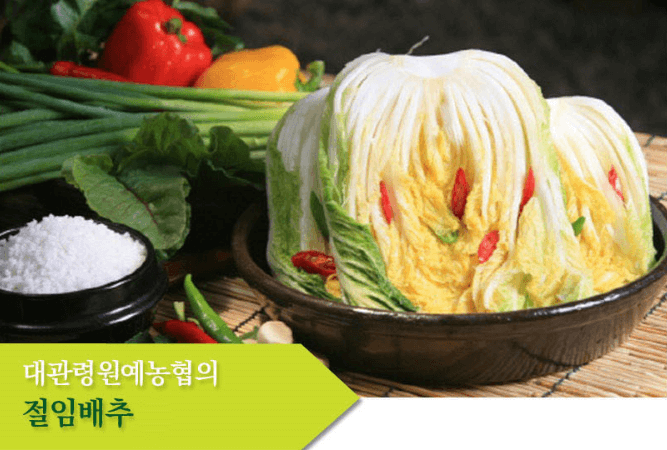 김장 절임 배추 20kg 가격 비교 추천