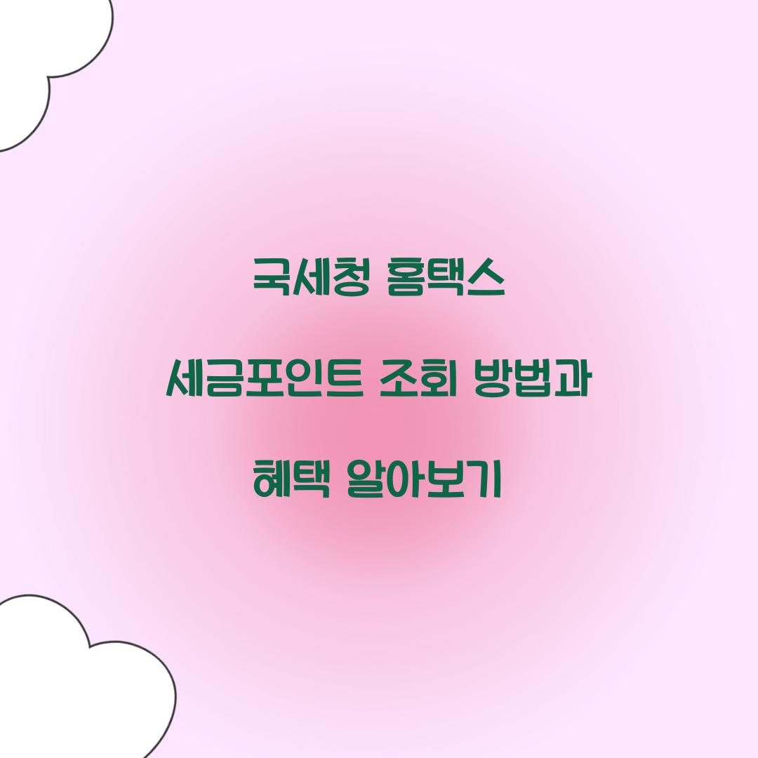 국세청 홈택스 세금포인트 조회