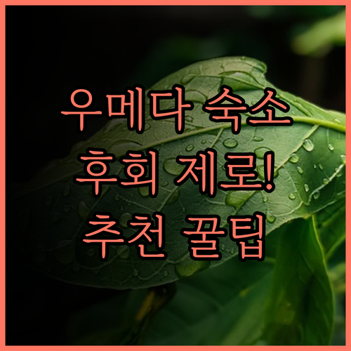 우메다 호텔 추천 호텔 한큐 레스파이