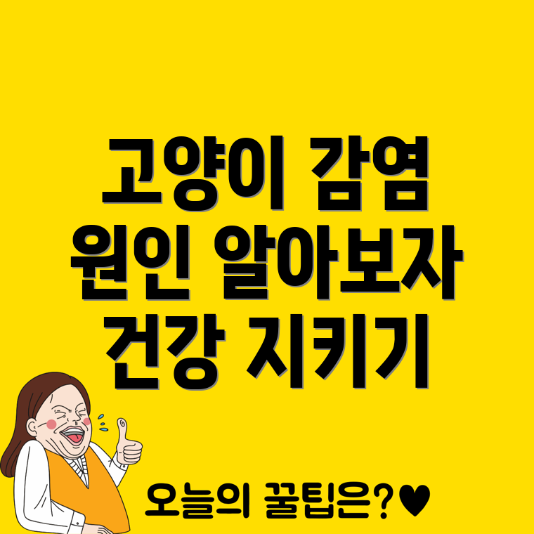 고양이 곰팡이 감염