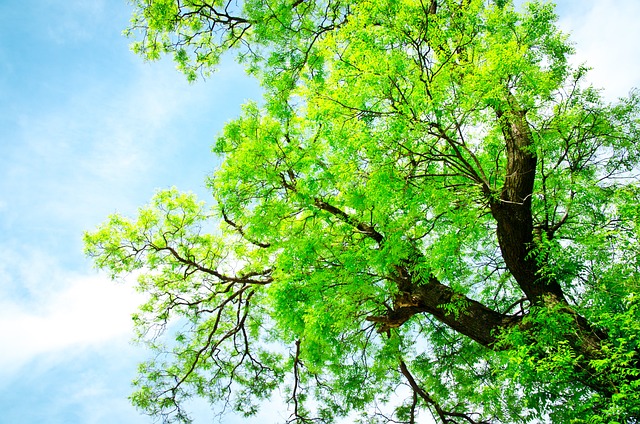 전기·가스 줄이면 돈이 쌓인다! 탄소중립포인트 100% 활용법