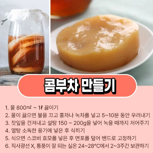 콤부차 만들기