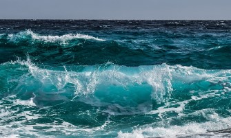 강원도 해수욕장 개장일