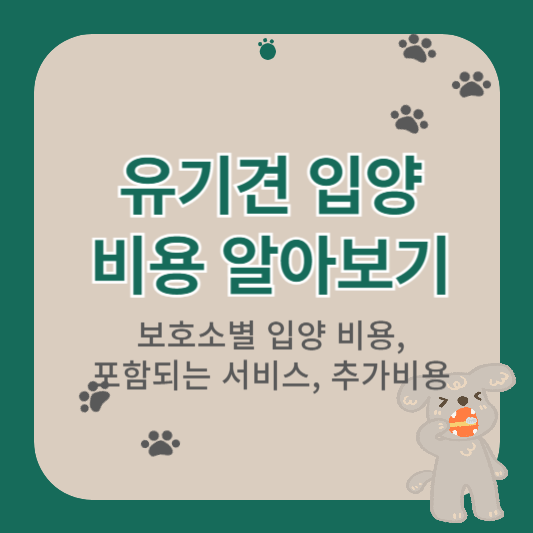 유기견 입양 비용