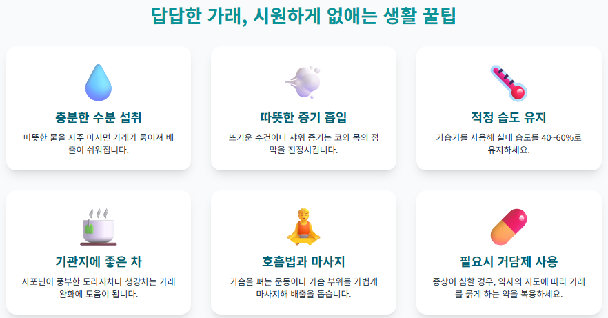 잦은 기침과 가래, 혹시 만성 질환의 신호일까? 증상별 원인과 관리법