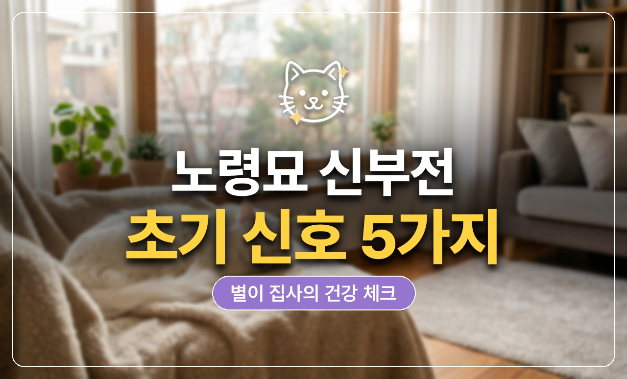 노령묘 신부전 초기 신호 썸네일