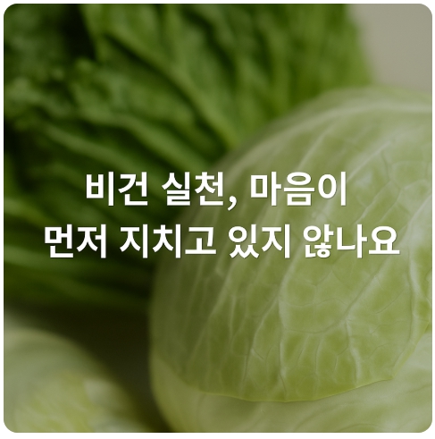비건 실천, 지치지 않으려면? 감정노동과 번아웃 관리법