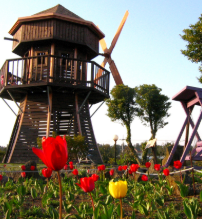 보롬왓 대파축제 2025