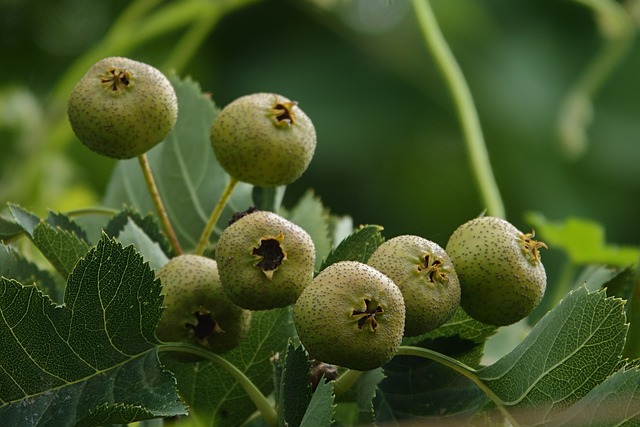 김수미 나이 프로필 정리 ✅