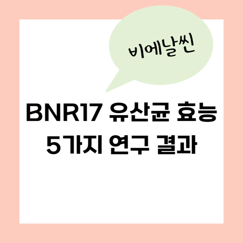 비에날씬 BNR17 유산균 효능