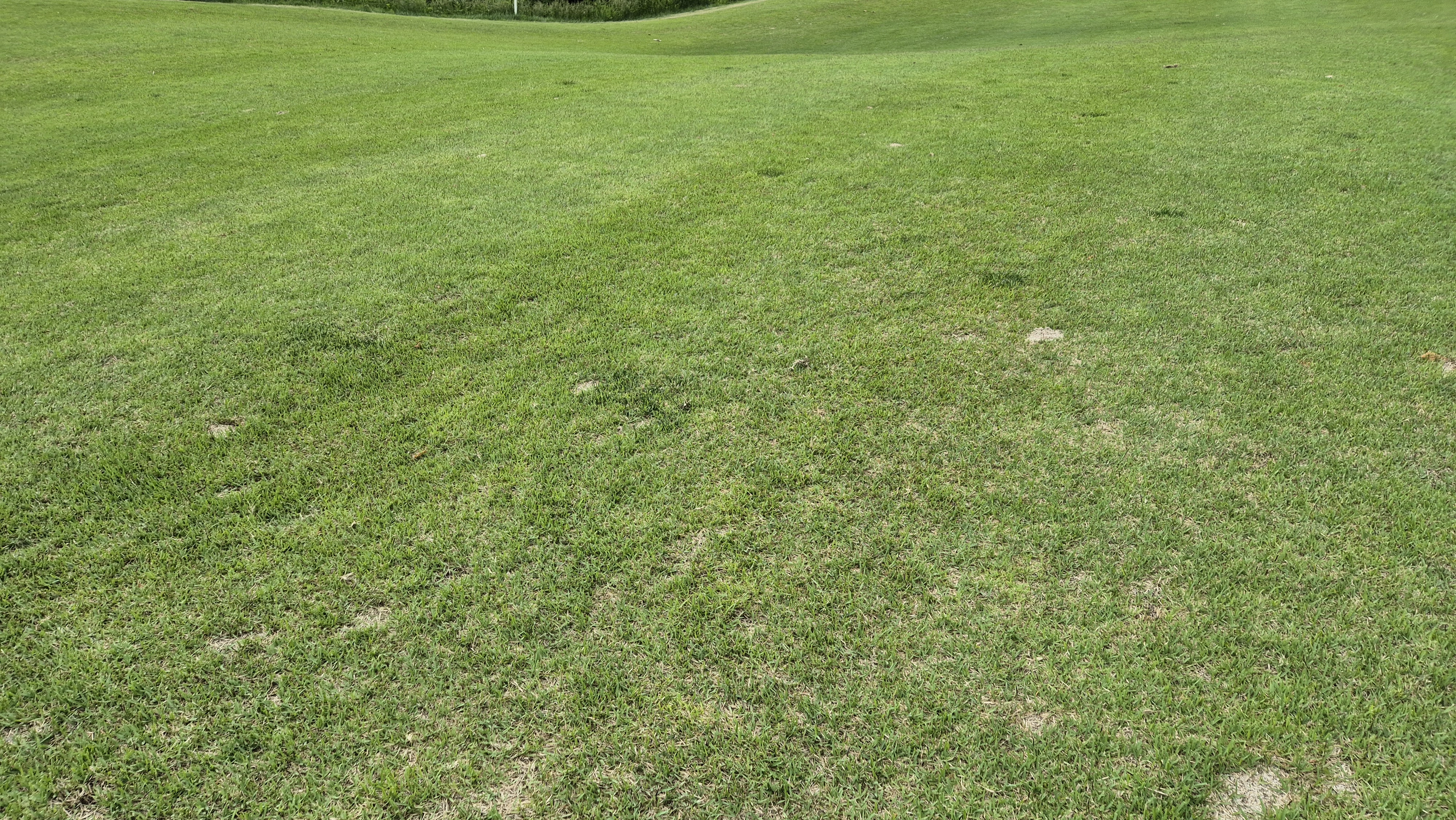 샴발라cc 라운드 후기