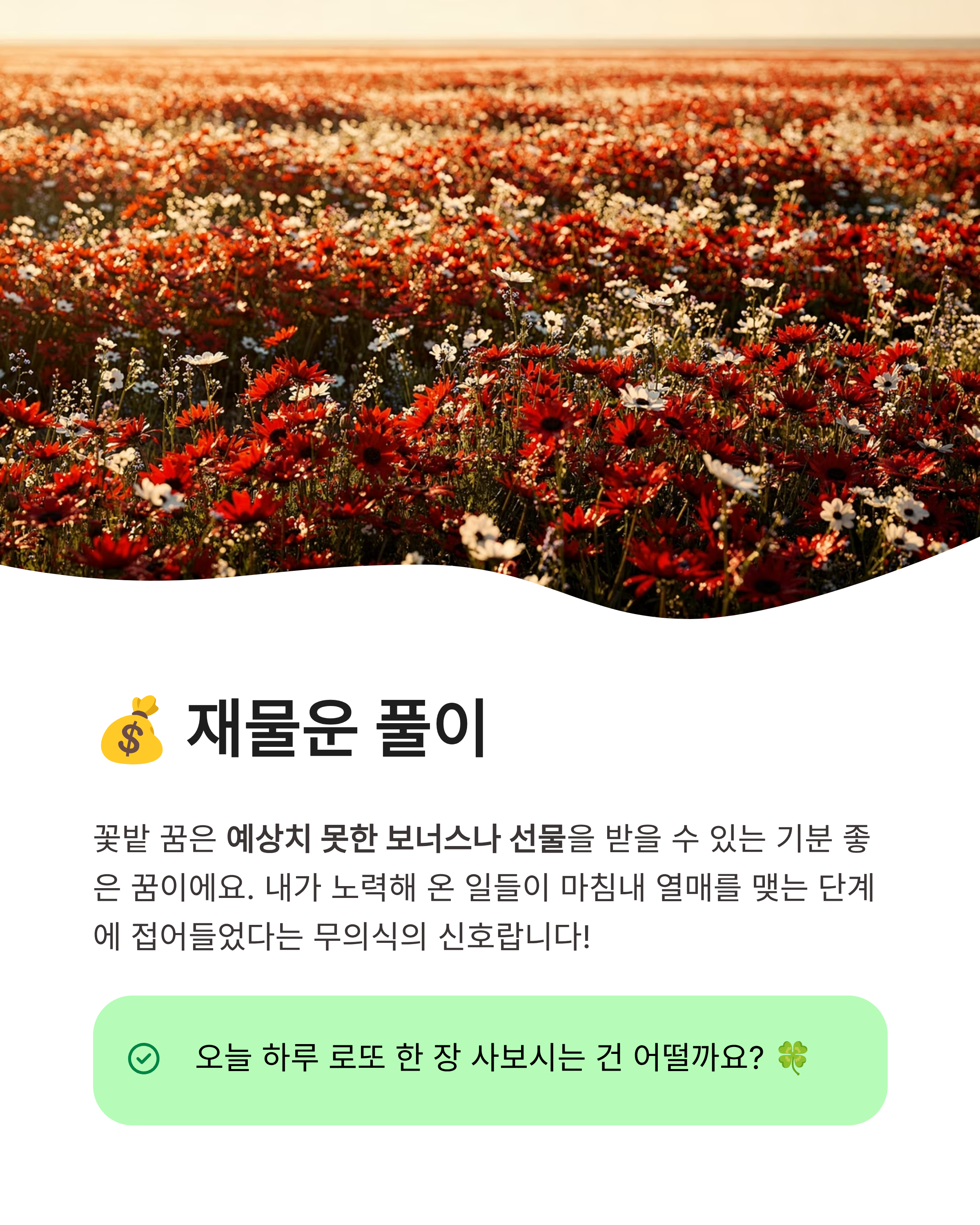 꽃구경 하는 꿈 해몽 태몽부터 연애운까지 상황별 길몽 총정리!