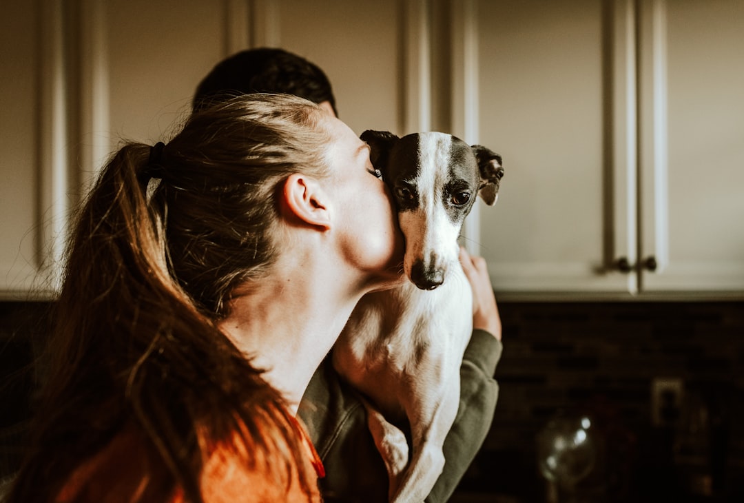 Pet