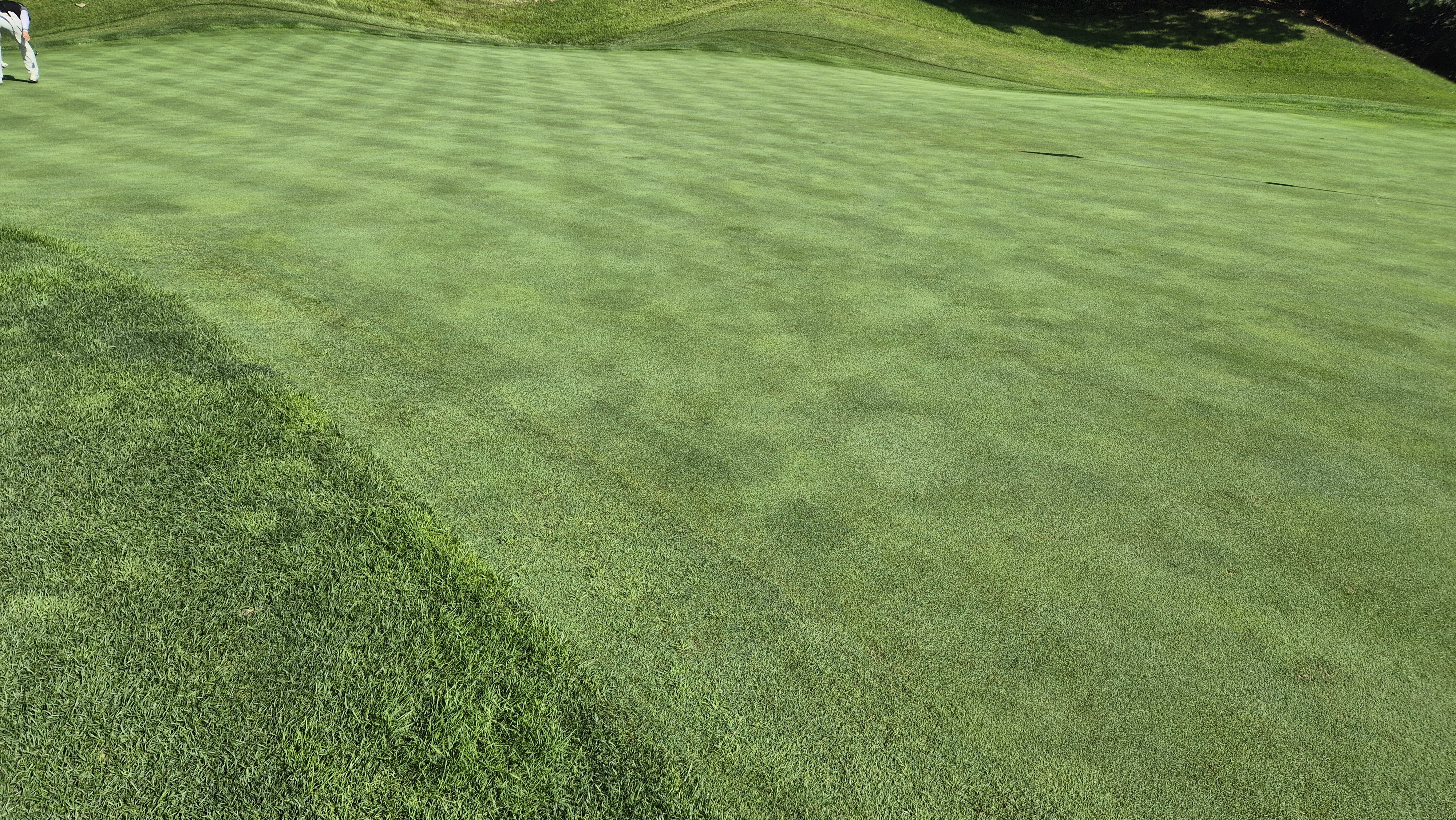 골프존카운티 천안 라운드 후기