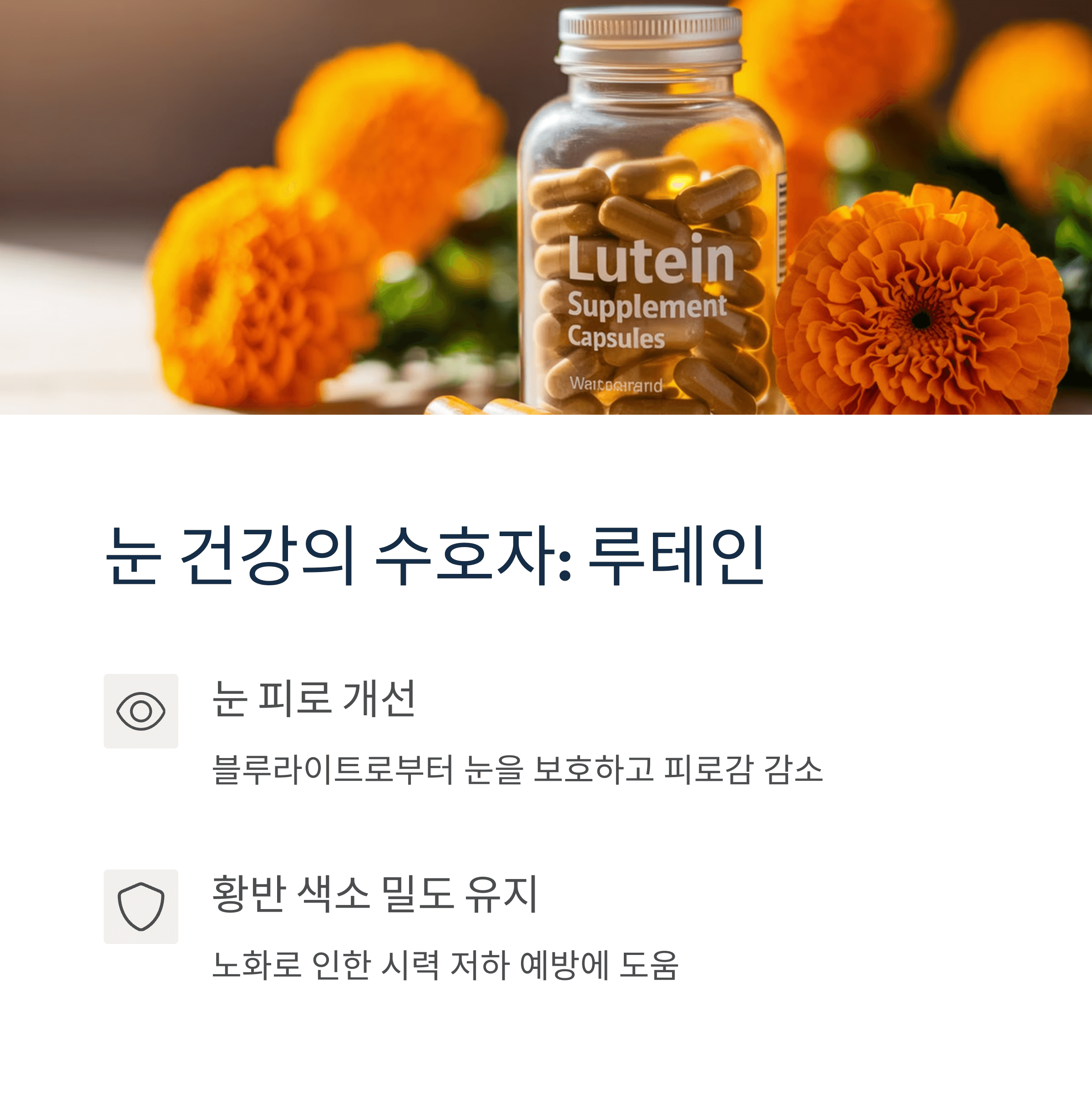 효과 좋은 영양제 TOP 5