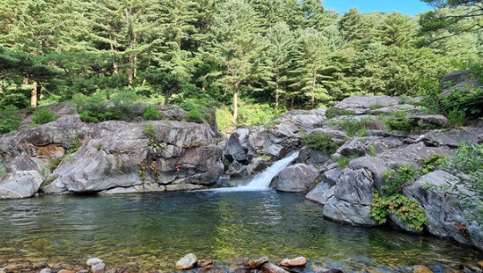 경기도 물놀이 계곡 베스트 10: 시원한 여름나기