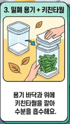 대파 보관법