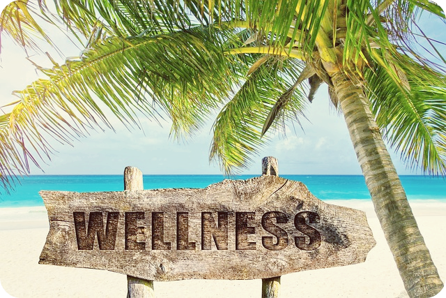 웰니스(Wellness)=웰빙(well-being)+행복(happiness)+건강(fitness)