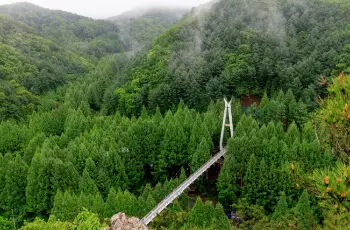 장태산 자연휴양림_13