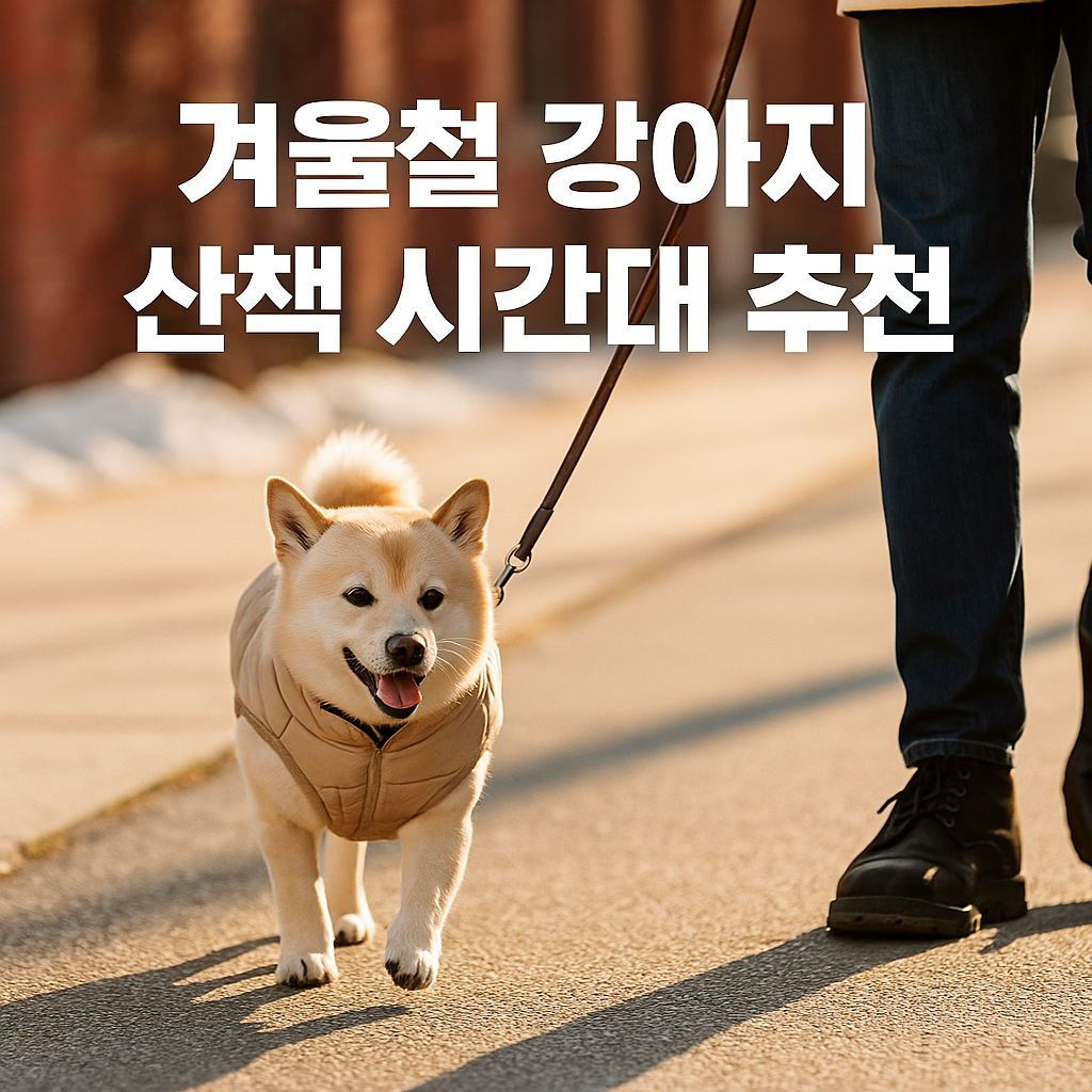 겨울철 강아지 산책시간대 추천, 실사형 이미지