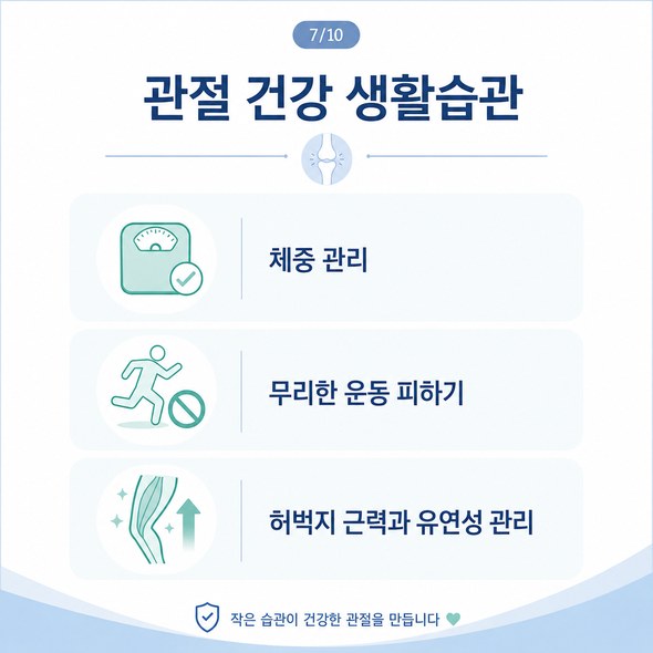 콘드로이친 효능