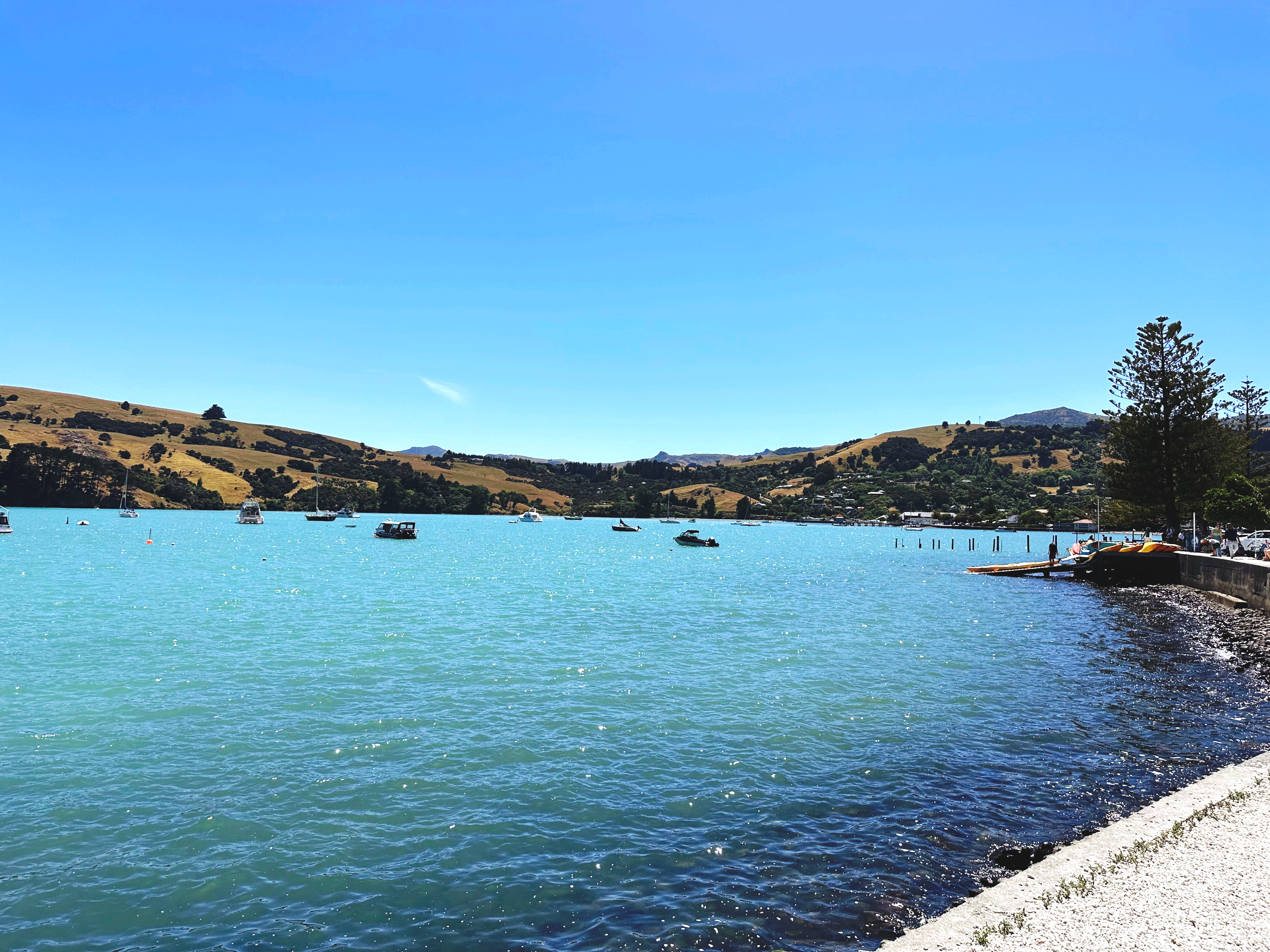 Akaroa