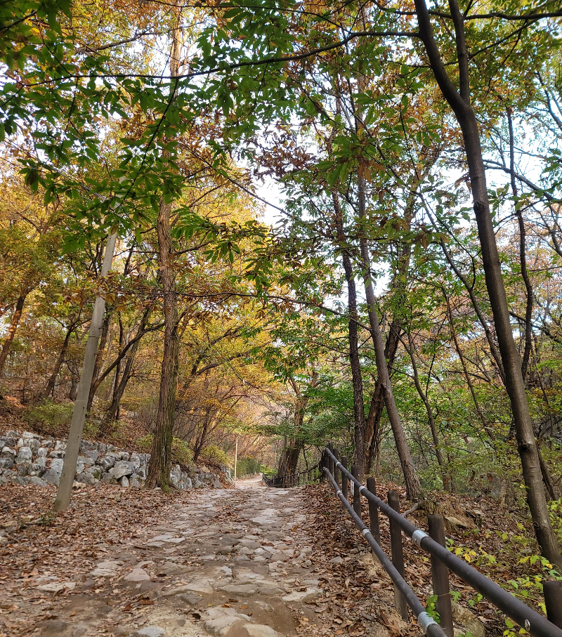 형제봉 가는 길
