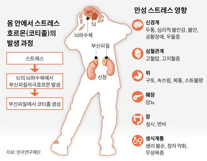 스트레스 호르몬이 혈당에 미치는 영향 이해하기