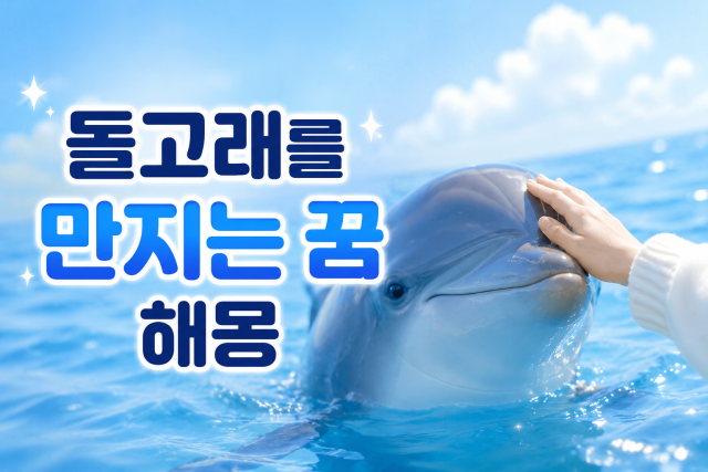 돌고래 보는 꿈, 돌고래가 뛰어오르는 꿈, 돌고래를 만지는 꿈, 돌고래랑 헤엄치는, 돌고래가 떼지어 헤엄치는 꿈 해몽