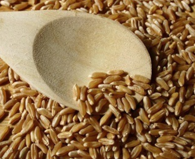 카무트 효소 부작용